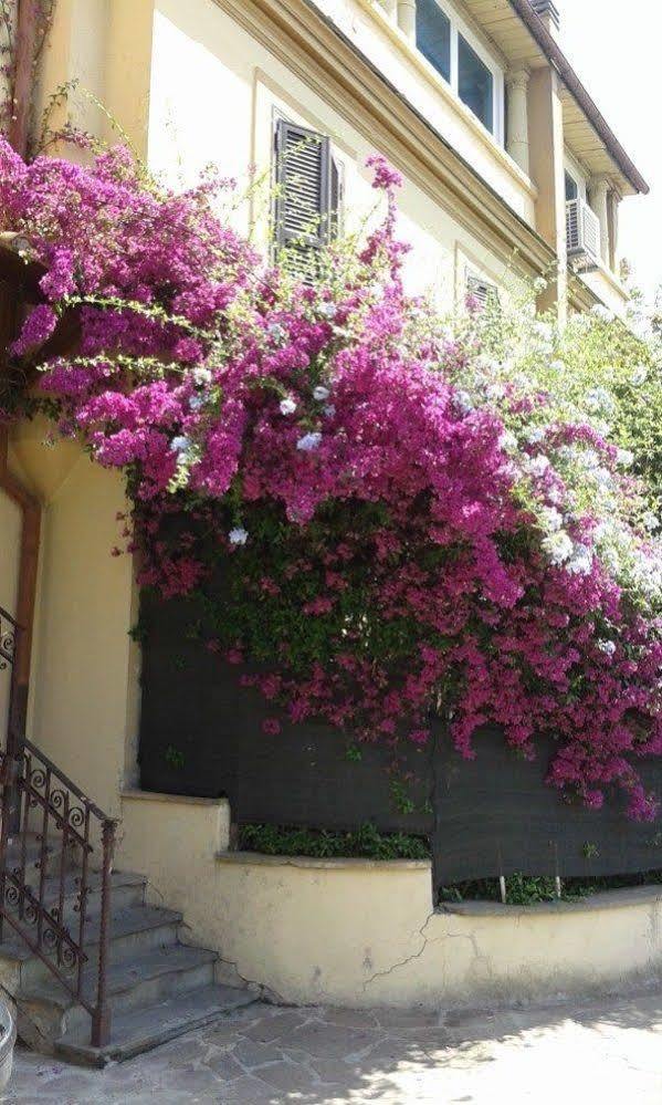 Imperiale Bed & Breakfast Roma